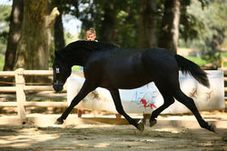 67506401_2116430618650522_6320209590570975232_o