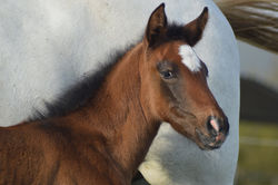 57294108_2063006713992913_1026032648671199232_n