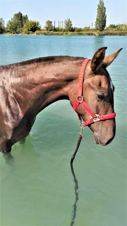 119788793_763317914241632_7241786630052214854_n (2)