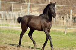 27629041_1822313114728942_8805065932066818500_o