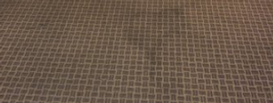 Assess/Report Carpet Stains