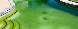 Report pool/spa condition