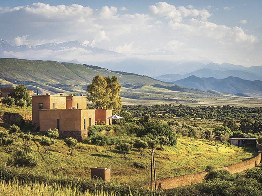 Untitled-1_0008_trm 2020 01.jpg