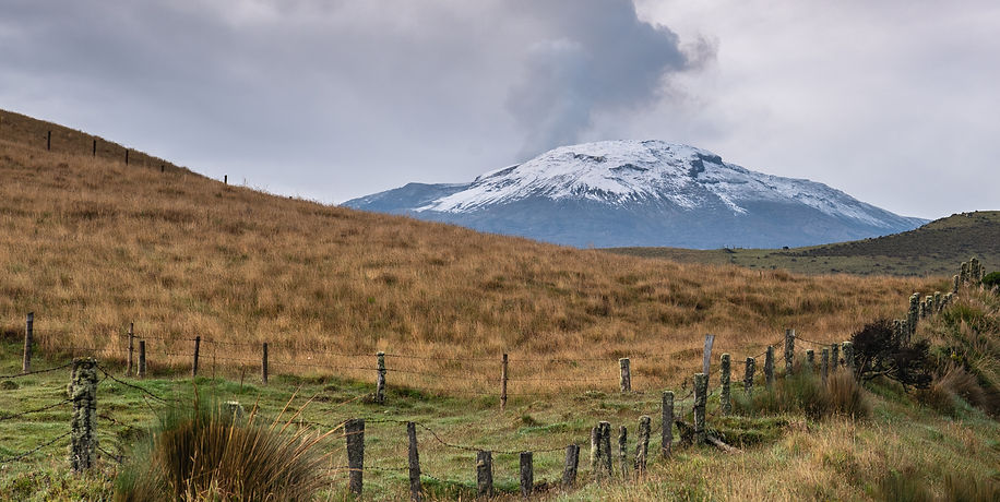 _view of the nevado del ruiz with grass