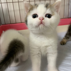 2020.04.04 Maru1