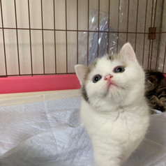 2020.04.04 Maru5