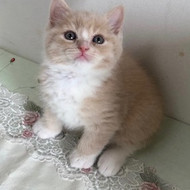 2019.1.4 4-2.jpg