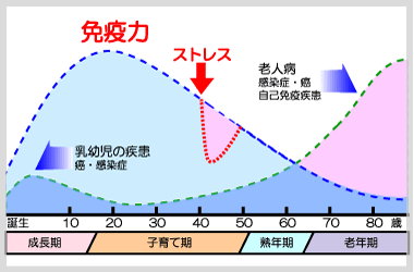 免疫力と年齢.gif