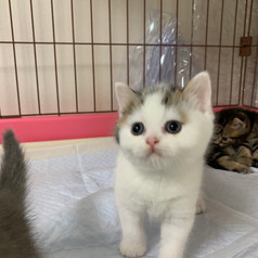 2020.04.04 Maru