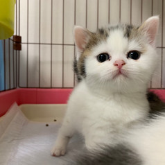 2020.04.04 Maru6
