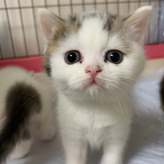 2020.04.04 Maru2