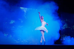 RA White Rose 1