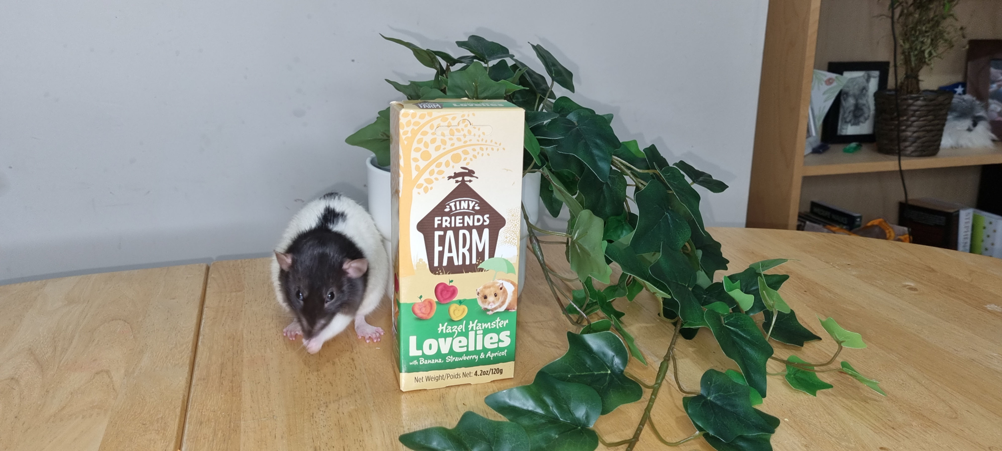 Hazel Hamster Lovelies