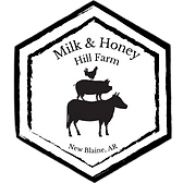 Copy of Copy of Untitled.png