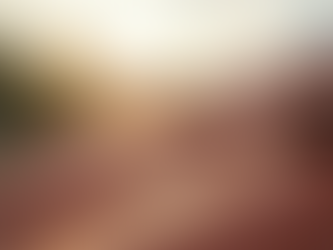 Expert Roof Tile Replacement Services in Hollywood, Florida