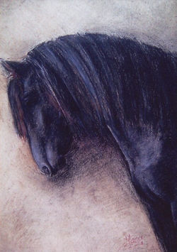 Pastel - Crni konj
