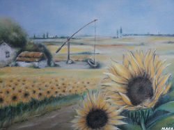 Vojvodina