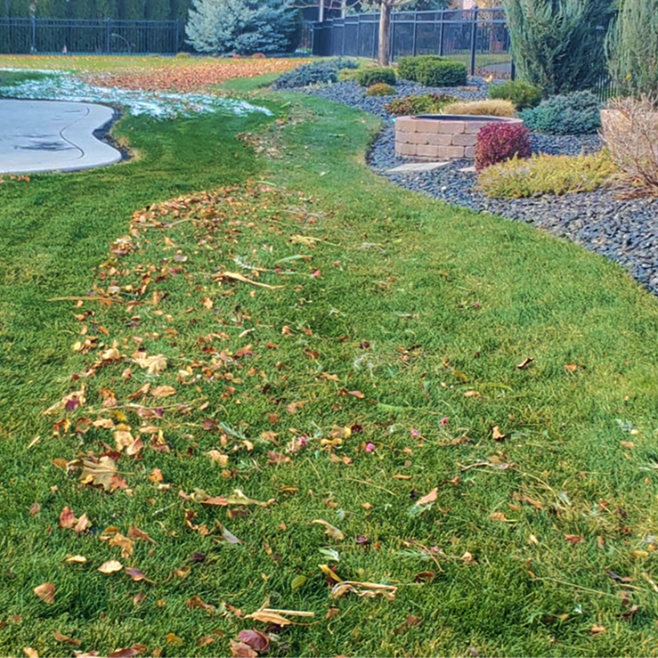 seasonalcleanup-greencountry 1.png