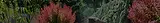 bannerprojects-idaho-greencountry.webp