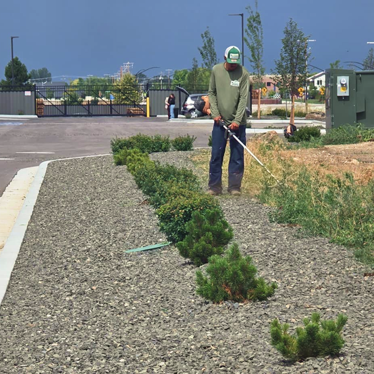 edging-greencountry 1.png