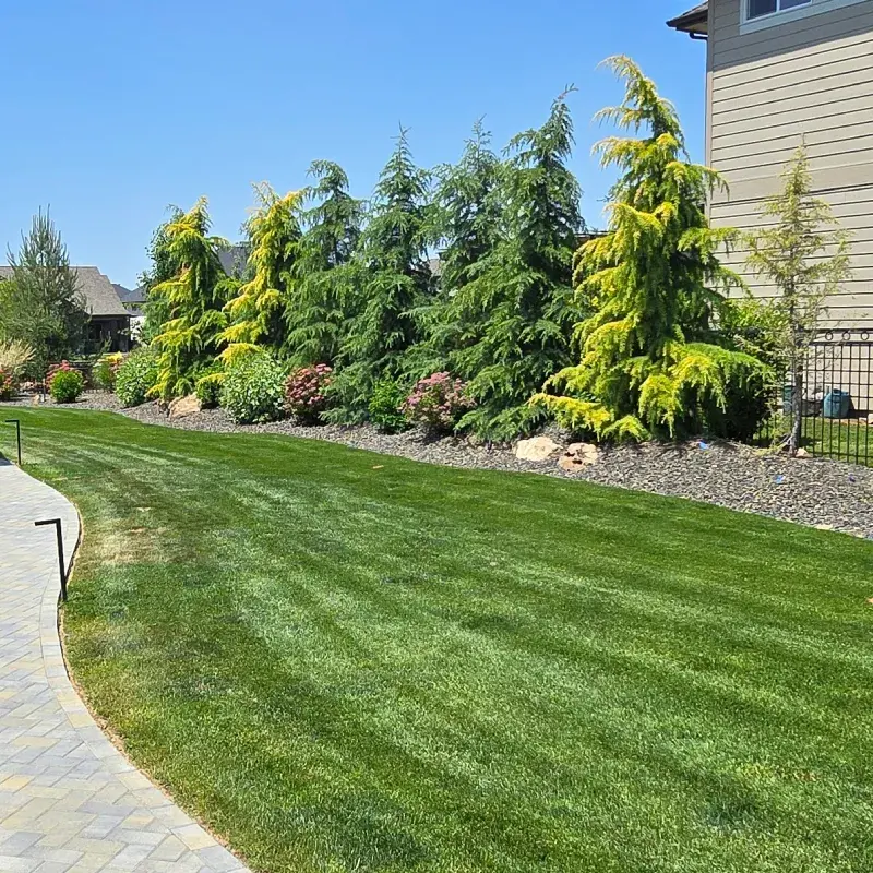 overseeding-greencountry 1.webp