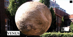 Venus