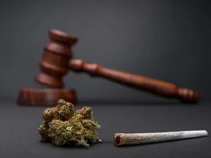 Um martelo de juiz em segundo plano, e na frente, um cigarro de maconha e um bud. Fundo cinza escuro, clima sério.