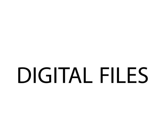 DigitalFiles.jpg