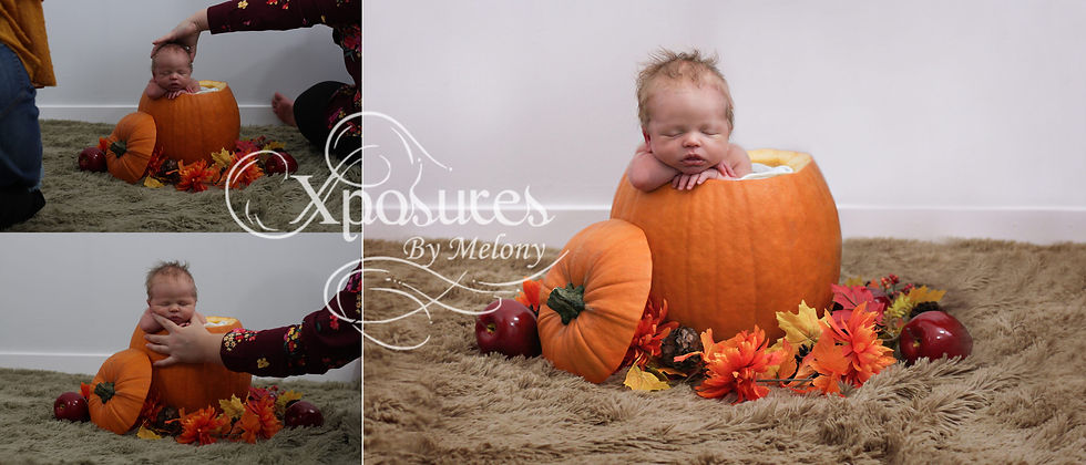 Newborn photography baby in pumpkin