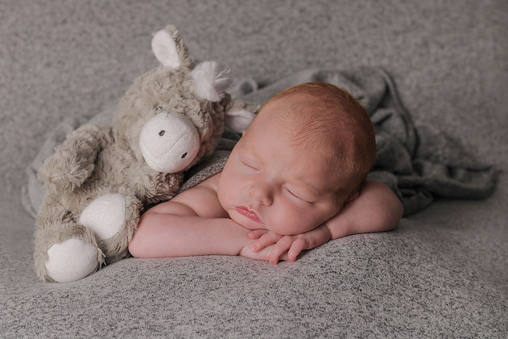 Lethbridge newborn baby chin on hands pose with stuffed animal