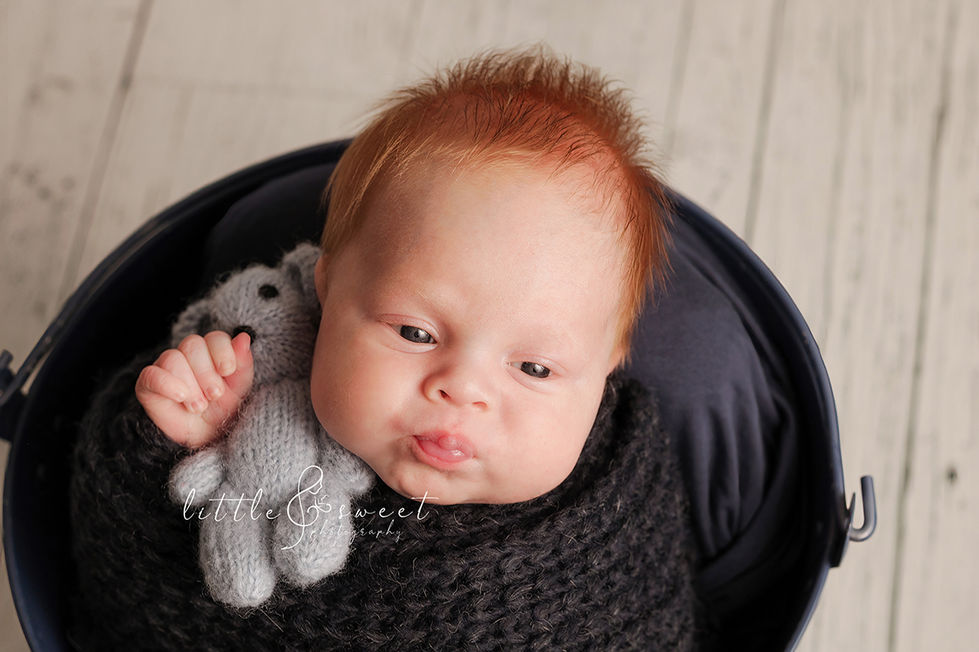 Newborn boy wrapped in dark blue in blue bucket holding a blue teddy bear