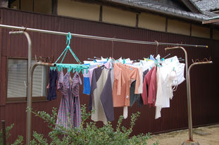 resized_DSC_0174.jpg