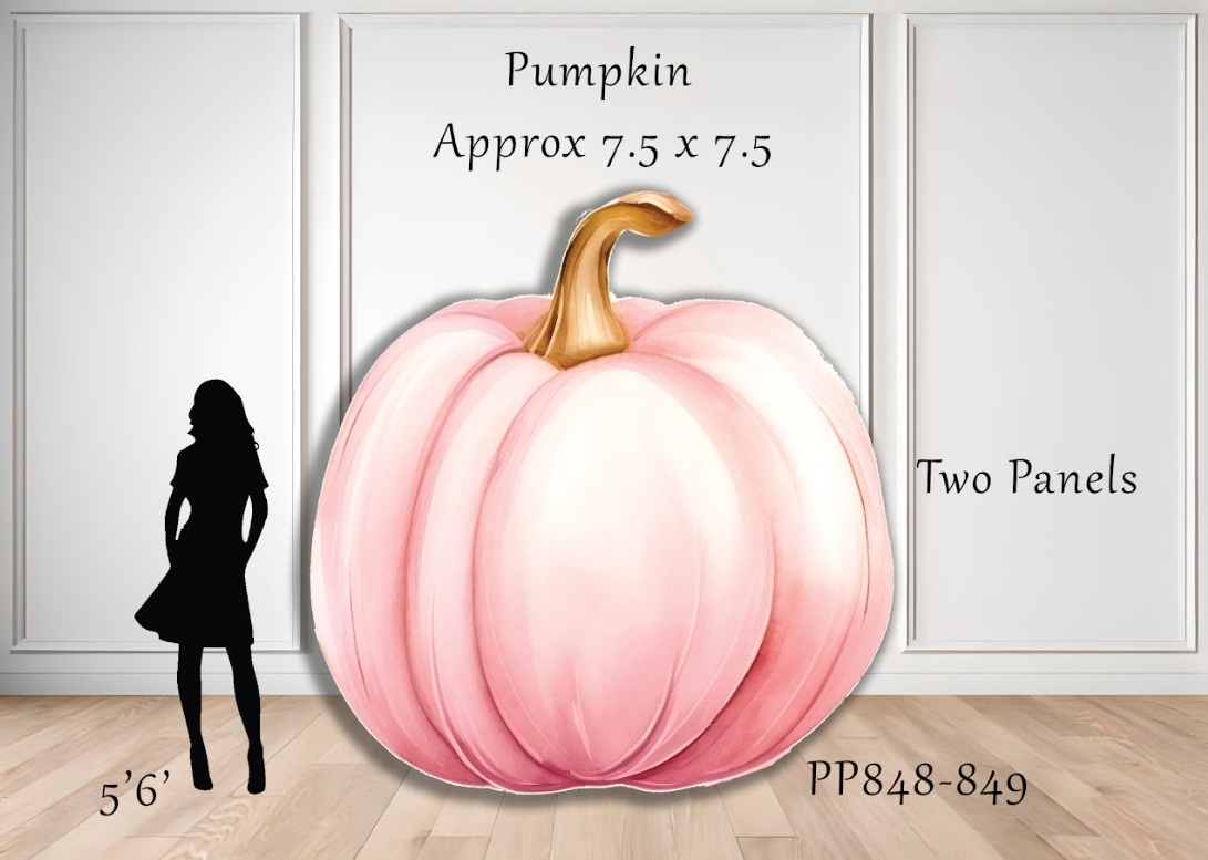 PP848-849 Pink Pumpkin