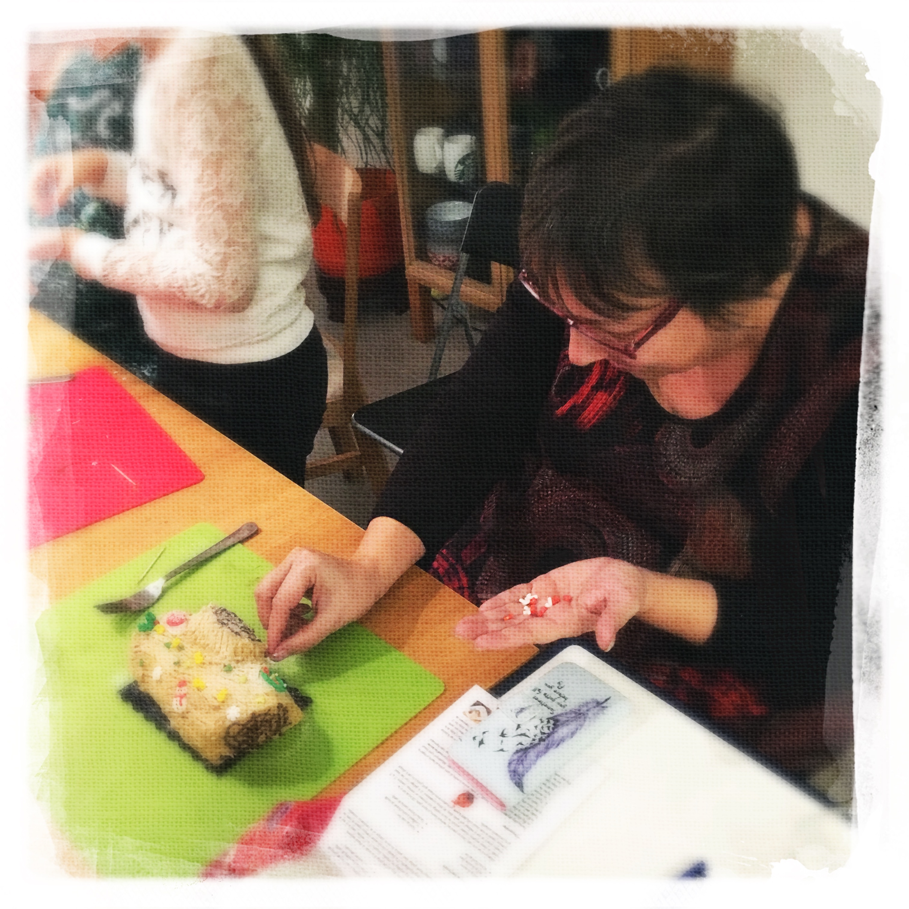Cours Bûche de Noël XV