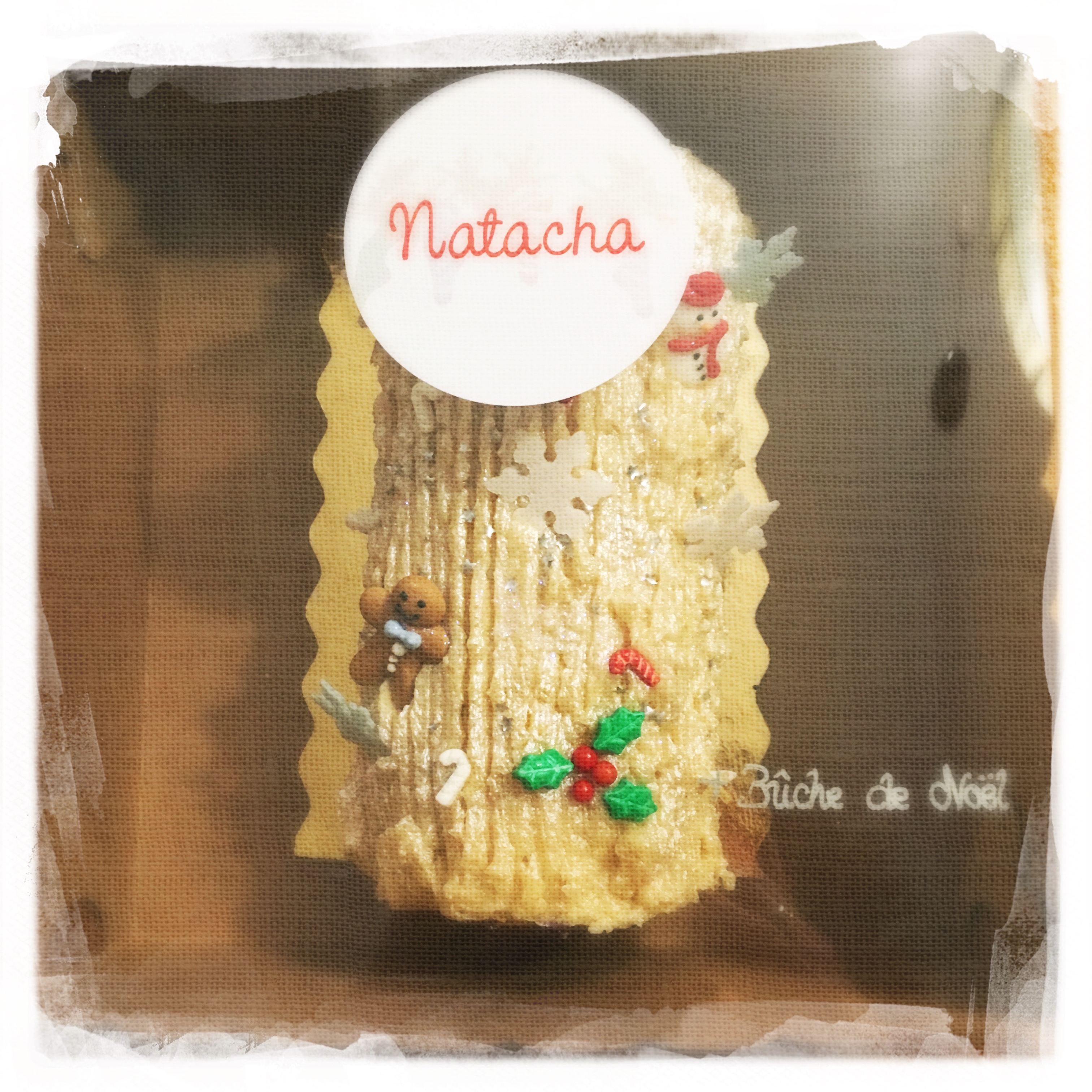 Cours Bûche de Noël 3 XVII