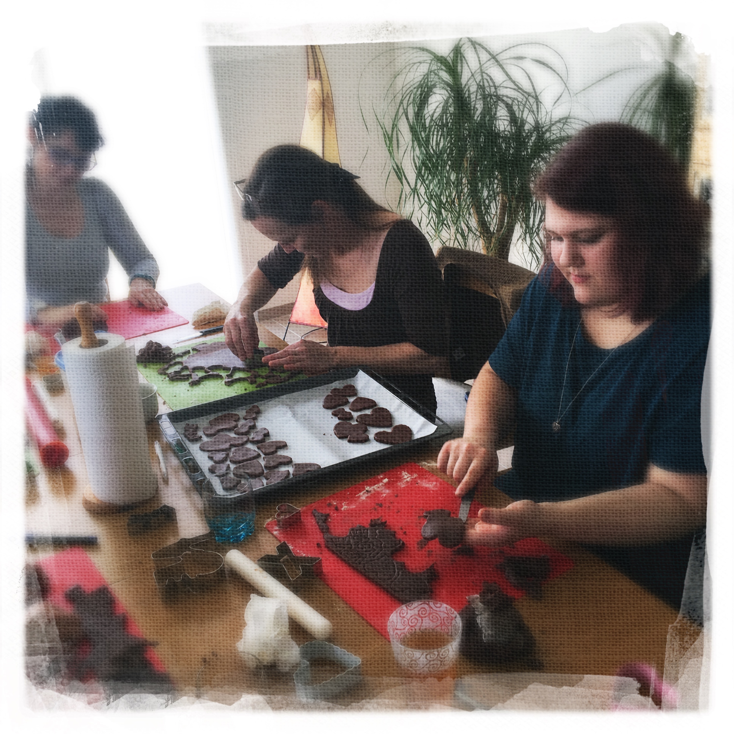 Cours Biscuits d'amour V