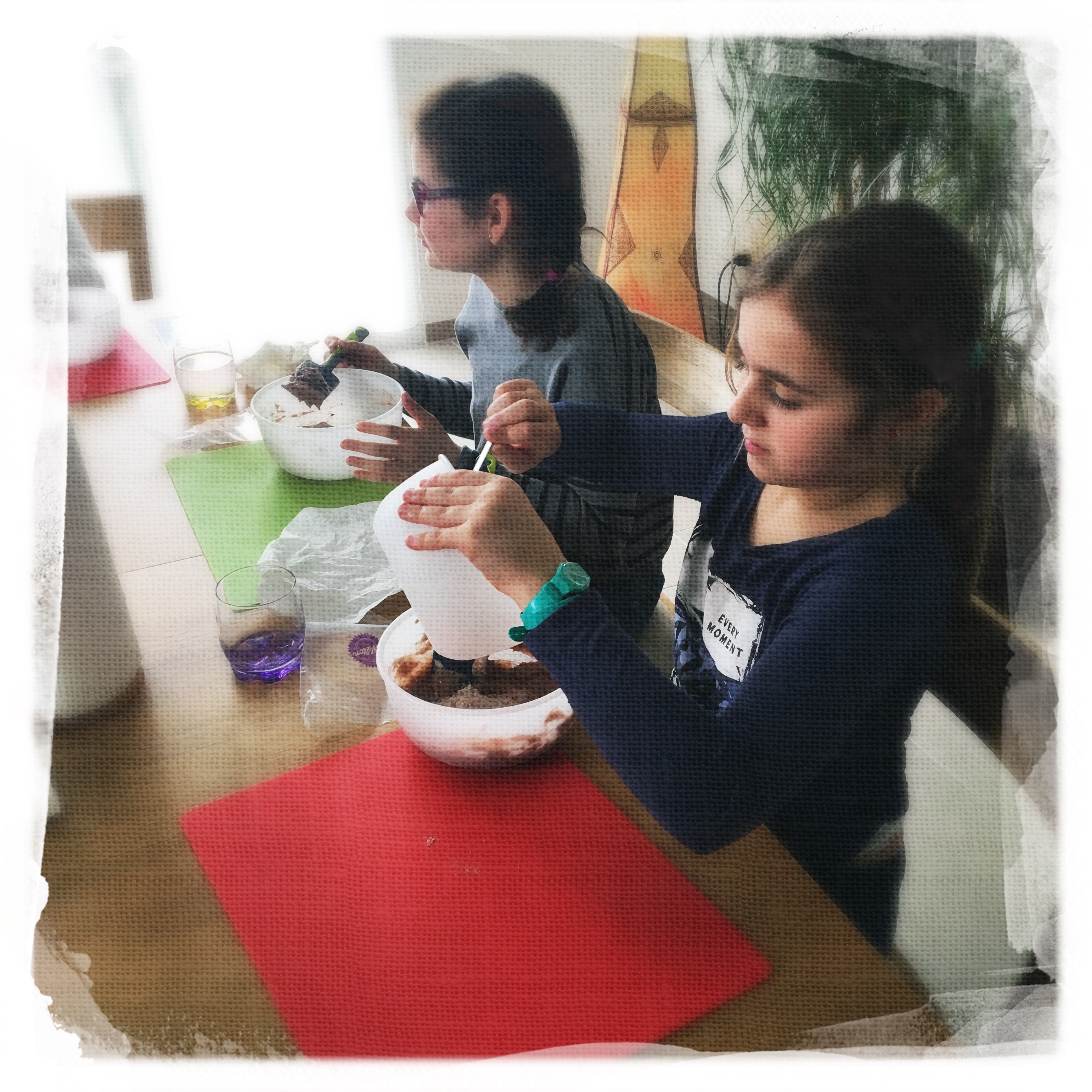 Cours privé Macarons V