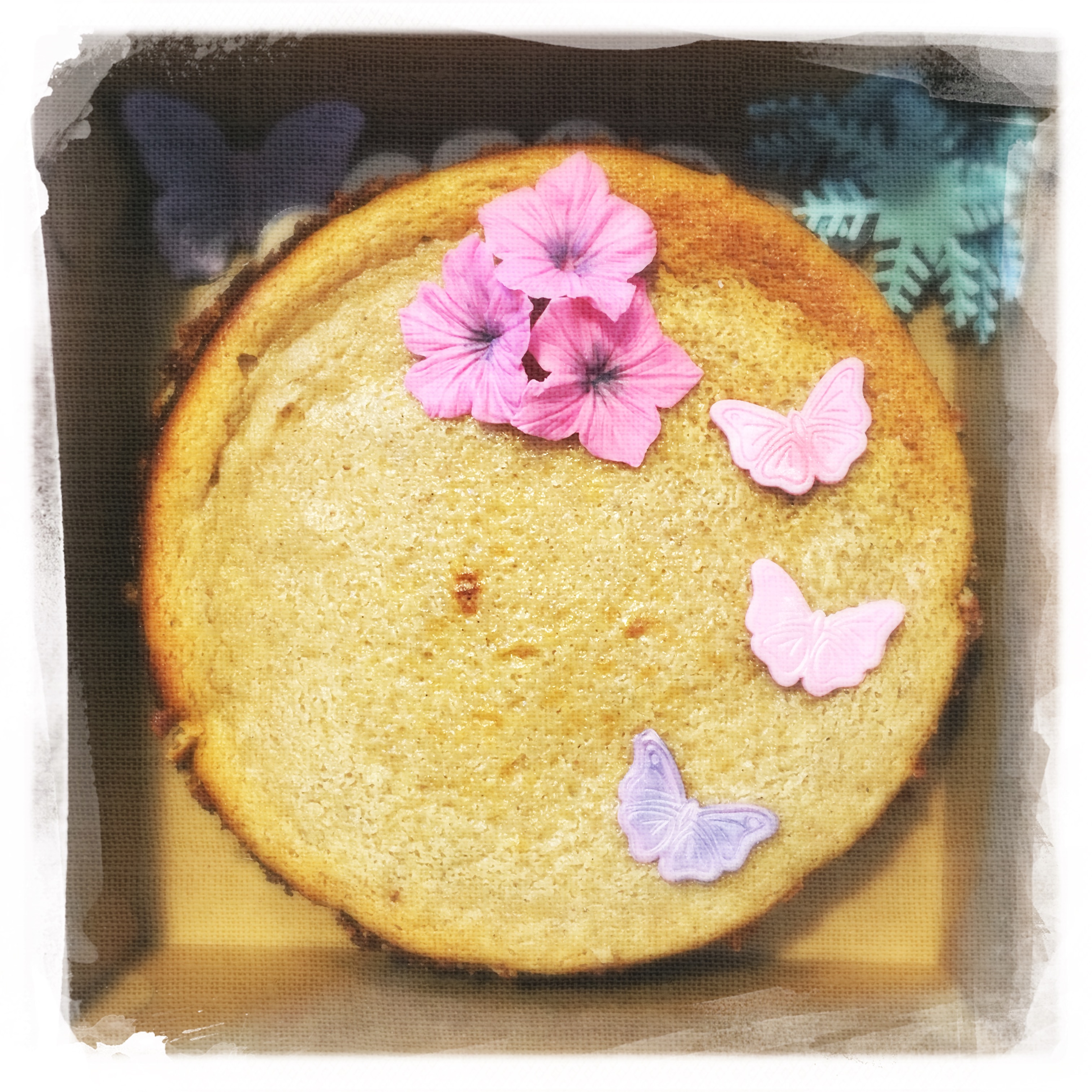 Cour privé Cheesecake Cannelle IX