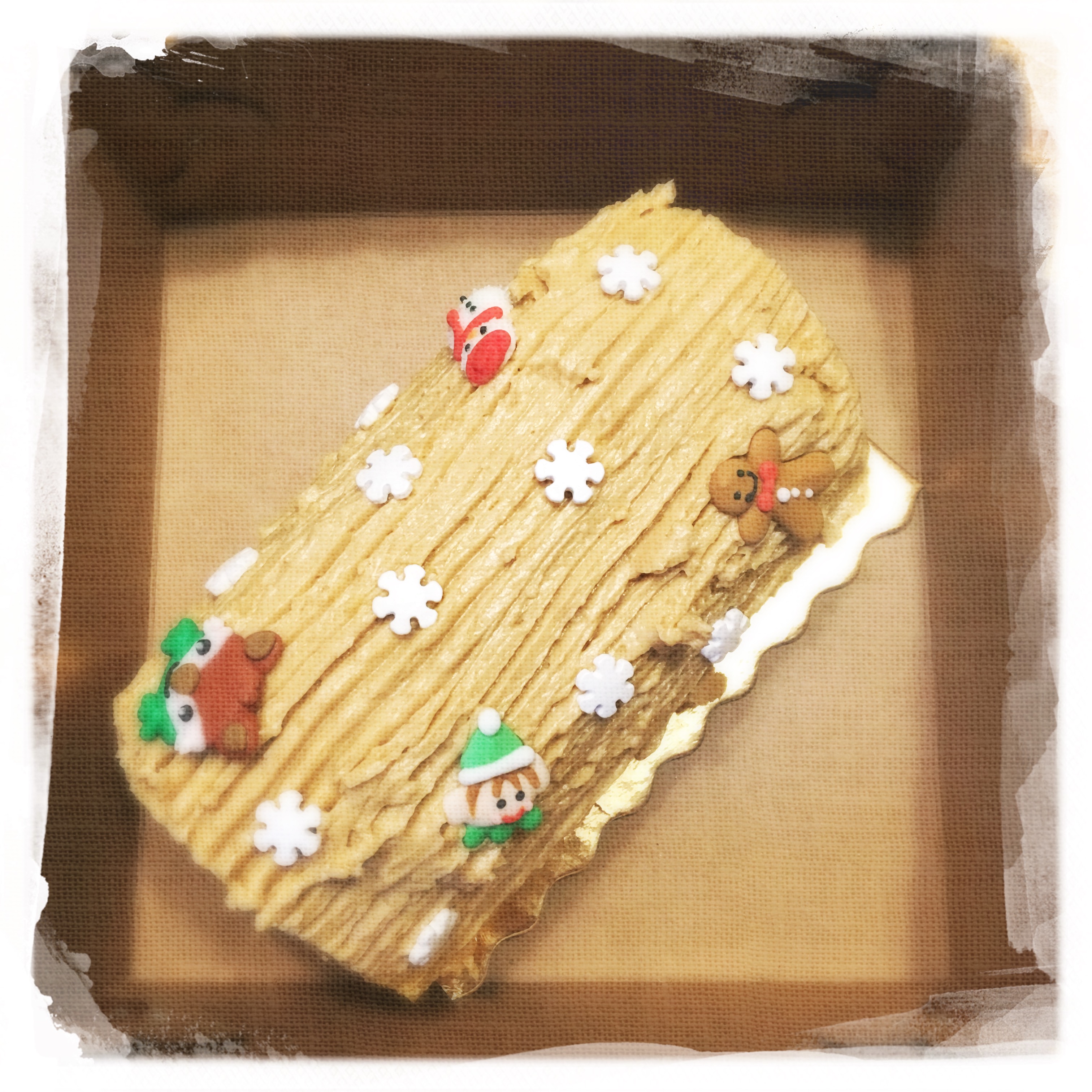 Cours Bûche de Noël 2 XIV