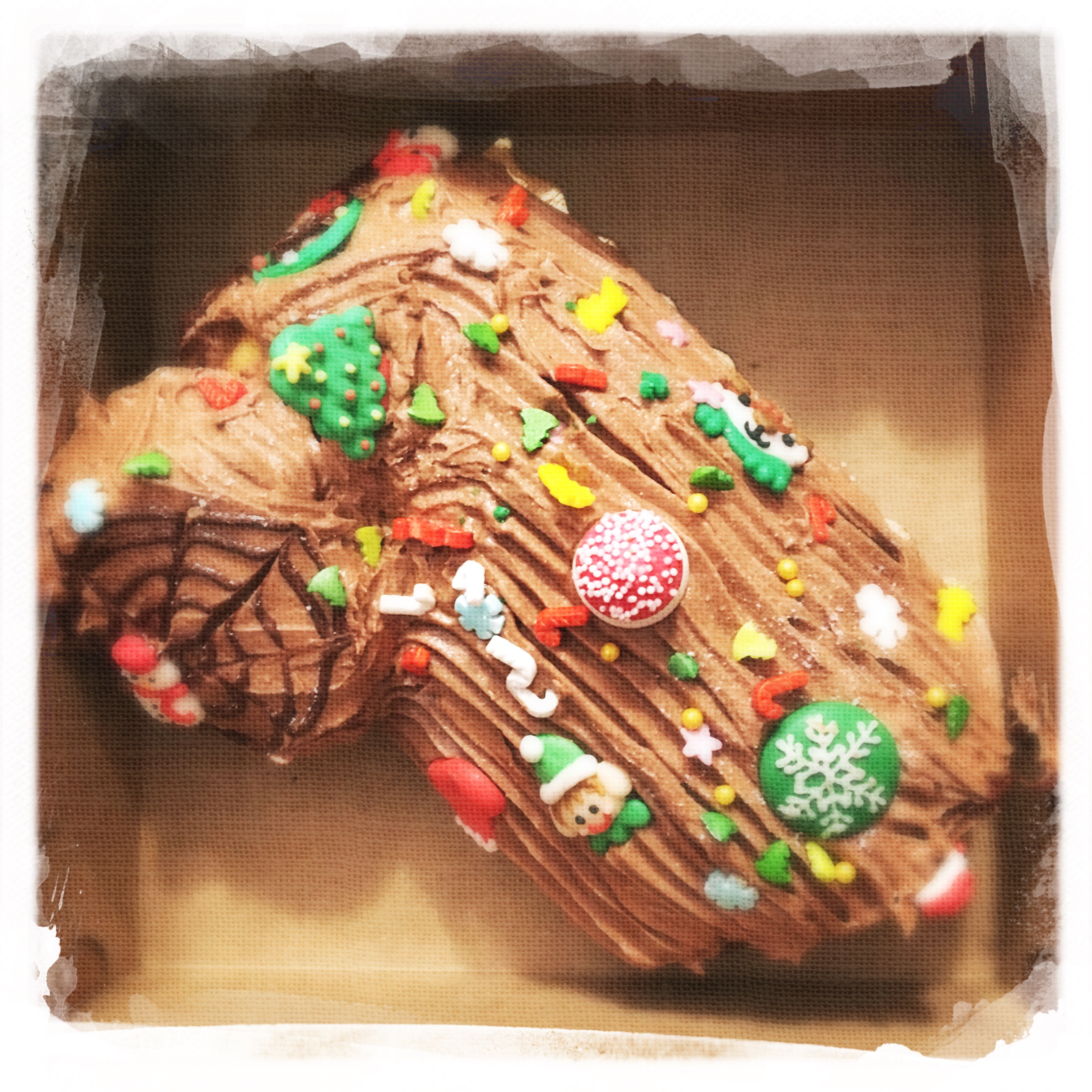 Cours Bûche de Noël XXIX