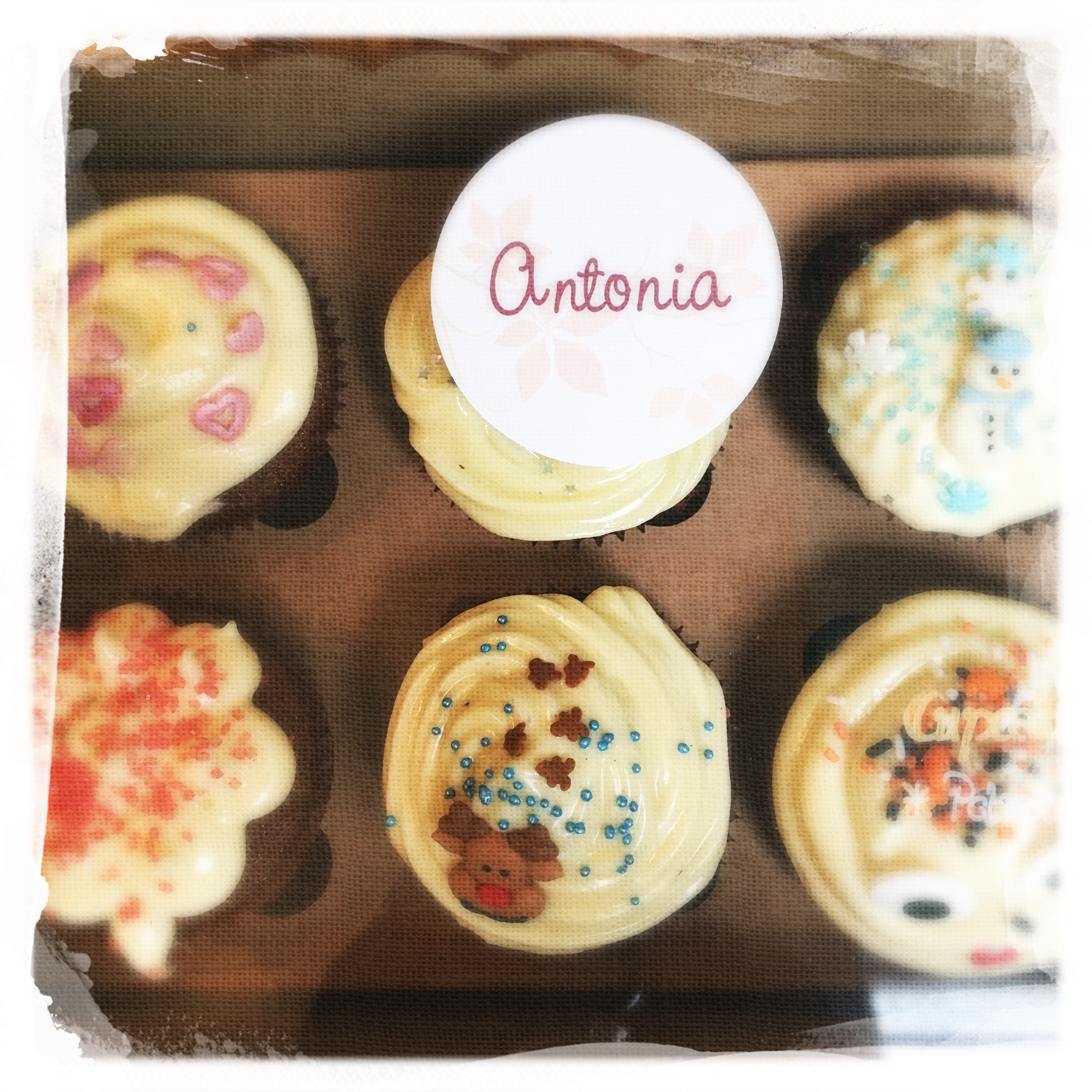 Cours Cupcakes Potiron/... XXVI