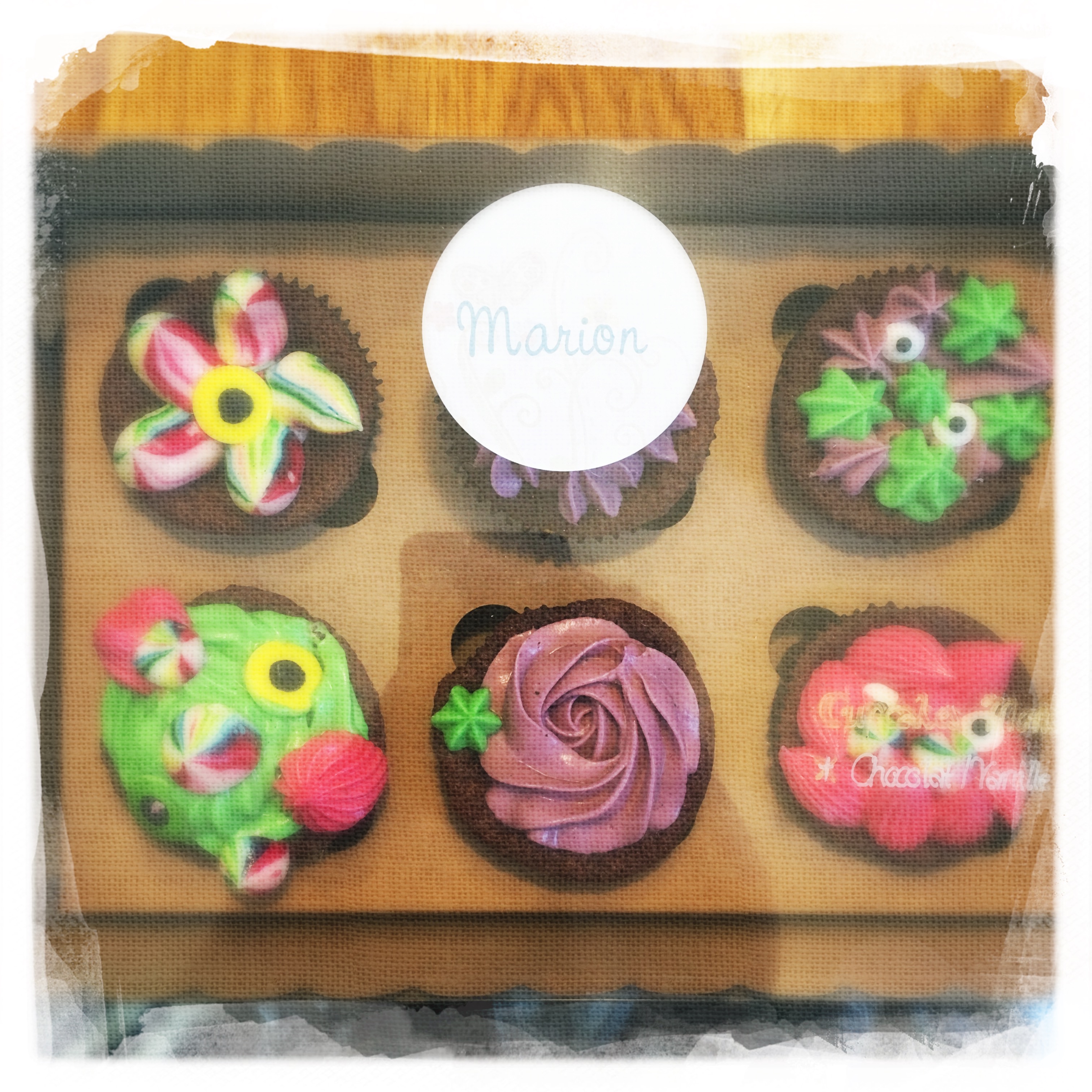 Cours privé Cupcakes Monstres XIII
