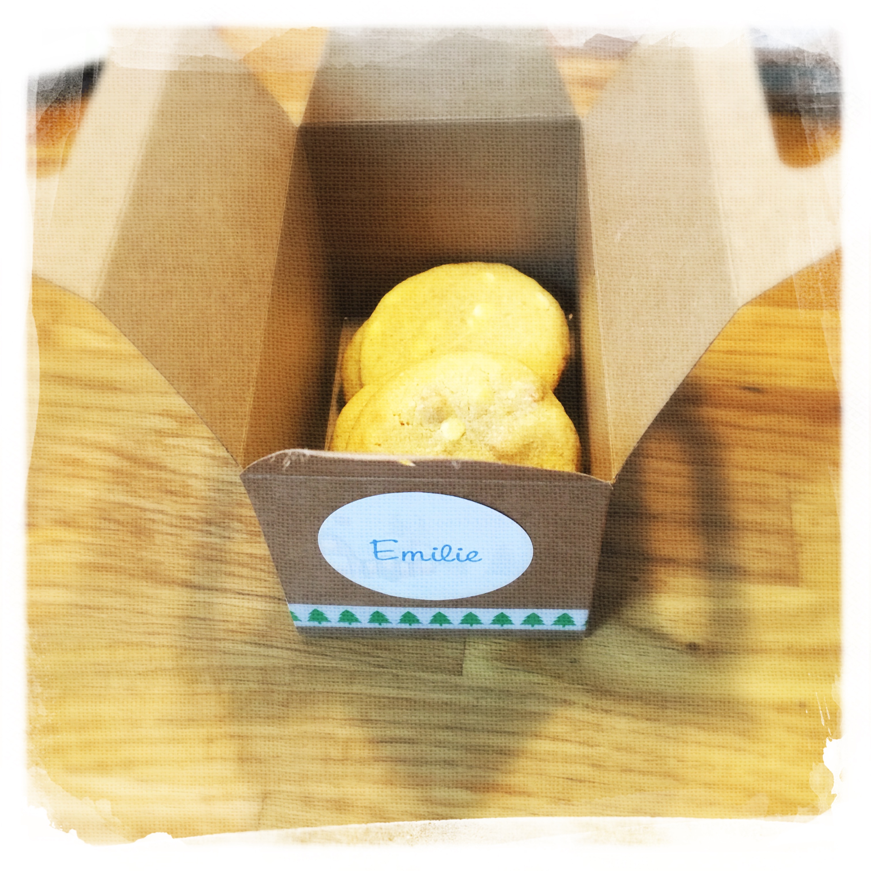 Cours Cookies en Folie VIII