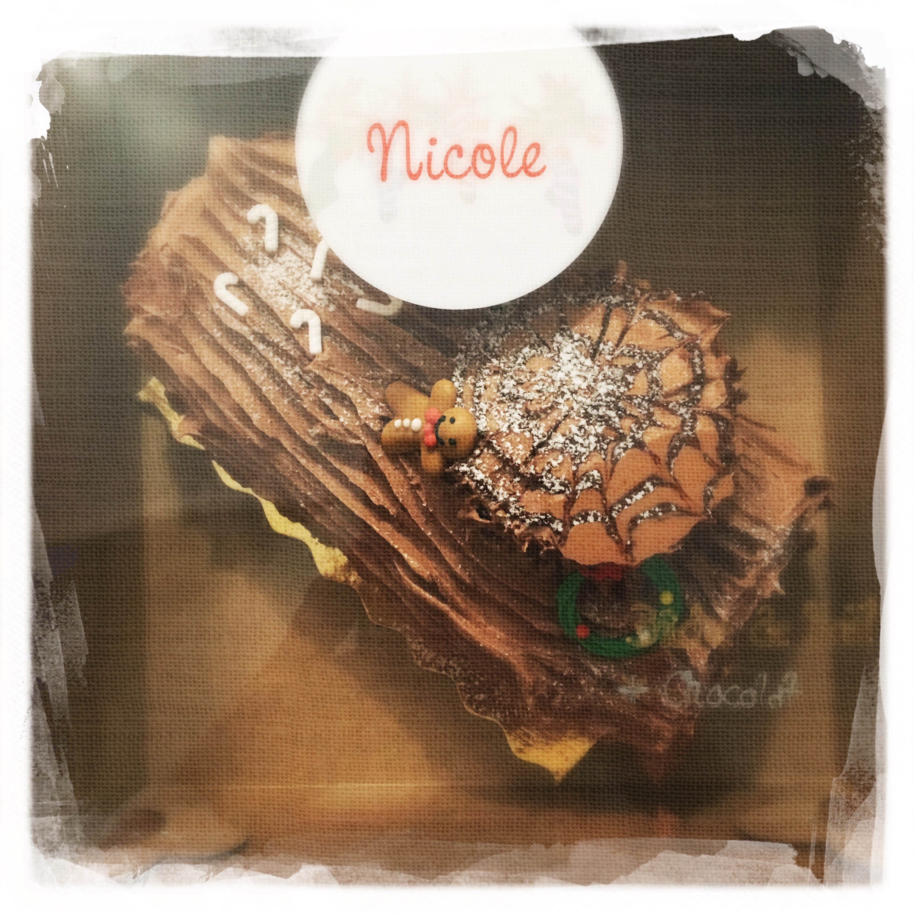 Cours Bûche de Noël XXVI