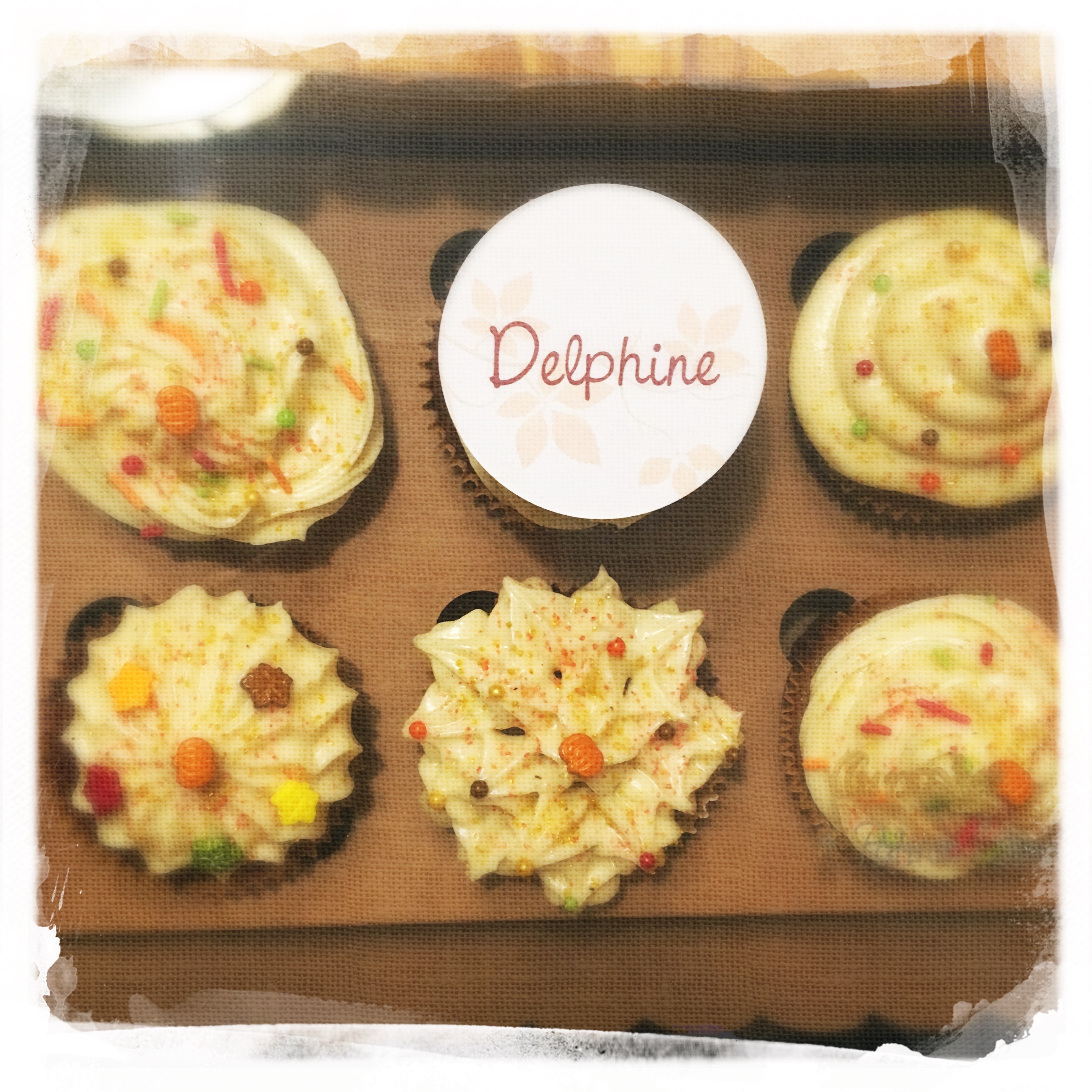 Cours Cupcakes Potiron/... XIII