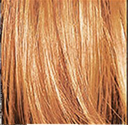 Thumbnail: Sebastian Cellophanes