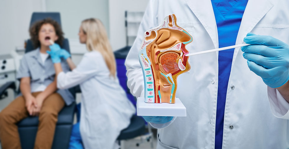 The Throat is one of the most densely packed regions of the body with vital organs.