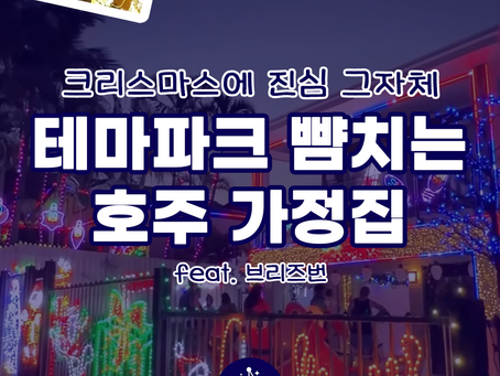 크리스마스에 진심인 호주 - 테마파크 뺨치는 호주 가정집 🎅