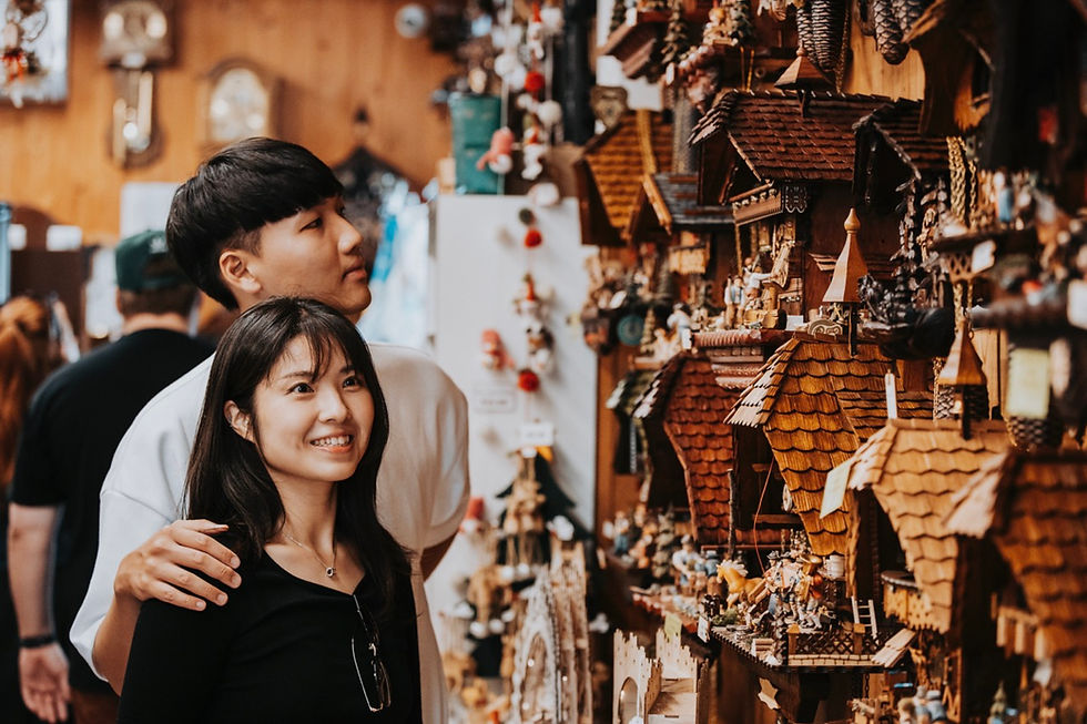 섬네일: [호주/브리즈번] 탬보린마운틴(호주 반딧불이&갤러리워크) + 스프링브룩(네추럴브릿지&열대우림) + 선셋 포인트 + 스냅사진 투어