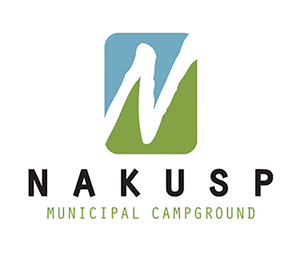 Nakusp Municipal Cam - Photo 2